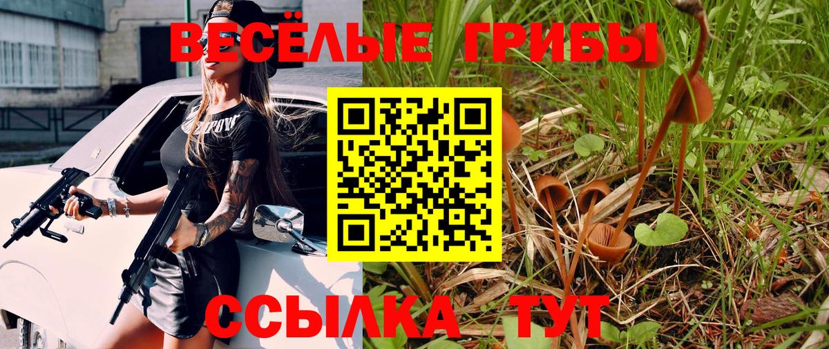 Галлюциногенные грибы MAGIC MUSHROOMS Кропоткин